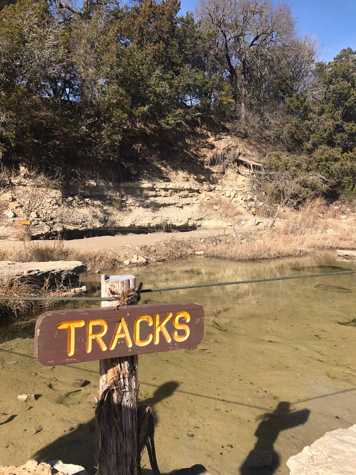 dinosaur valley state park fossils